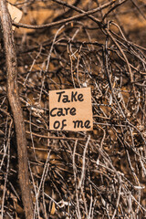 Take care of me written and drawn on recycled cardboard with a textured background made of tree bark