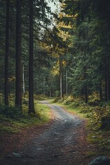 Fototapeta premium Sunlit path winding through lush green forest. A road less traveled, nature trail, natural beauty
