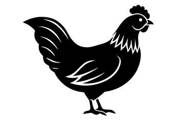 rooster isolated on white