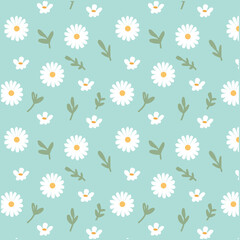 Obraz premium Seamless pattern of daisy Flower, vector botanical flower background. Abstract botany floral design.
