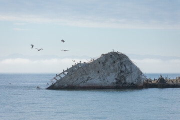Shipwreck on the Beach