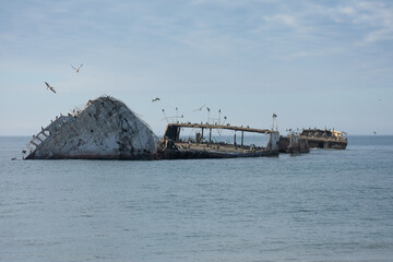 Shipwreck on the Beach