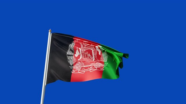 flag of afghanistan on a  blue screen, no background, transparent background, waving in the wind, national symbol of afghanistan, asian country, tall flagpole, video of a flag