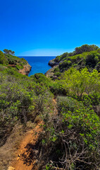  Meerblick Sommer Cala Murta Mallorca