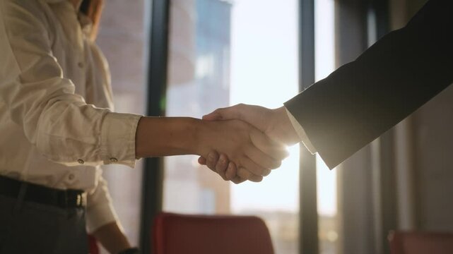 Business partners handshake showing collaboration success
