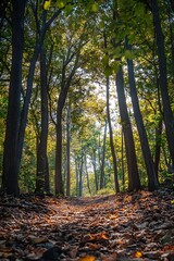 Naklejka premium Sunlit path through a lush green forest with fallen autumn leaves