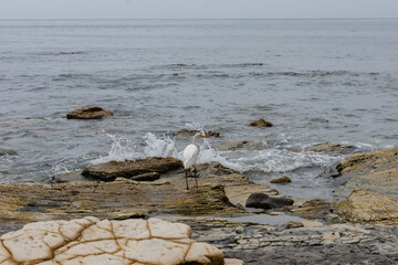 Point Dume, California