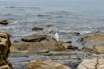 Point Dume, California