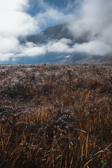 Misty mountains at sunset