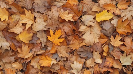 A seamless pattern featuring an array of fallen autumn leaves, showcasing their rich colors and varied shapes. This design highlights the beauty of nature's transition during the fall season, 