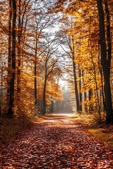 Obraz premium Autumn Path Through Golden Forest with Sun Rays Filtering Through Trees