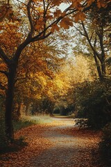 Naklejka premium Path through the forest in autumn with golden leaves on the ground and trees with changing leaves