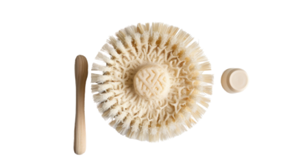 Bath brush on white background