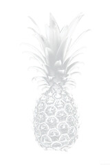 PNG Pineapple fruit plant bromeliaceae.