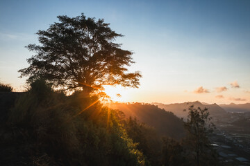a sunrise bursting through the silhouette of a tree on the edge of a mountain