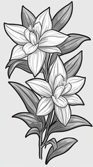 black and white lilies, abstract floral background, drawing, ink, wallpaper