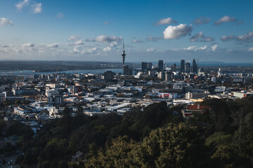 Obraz premium A view from mount Eden of Auckland city