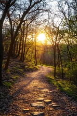 Fototapeta premium Sunset Path Through Forest, Golden Light and Stone Steps
