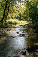 Obraz premium Tranquil river flowing through a lush green forest on a sunny day
