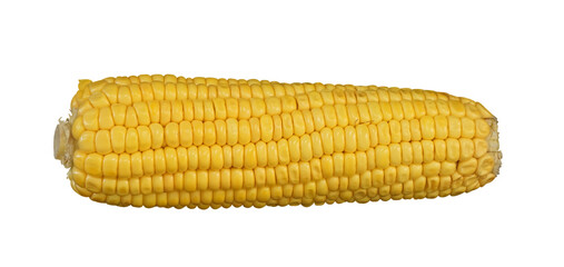 corn isolated
