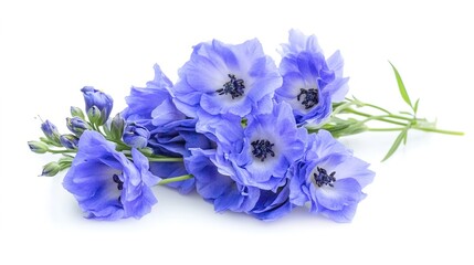 Naklejka premium A vibrant display of delphinium flowers showcasing their stunning tall spikes and intricate blooms in various shades of blue, purple, and white.