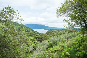 Obraz premium Volcanic landscape with geothermal pools and lush vegitation at Wai-O-Tapu Rotorua New Zealand 