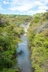 Volcanic landscape with geothermal pools and lush vegitation at Wai-O-Tapu Rotorua New Zealand 