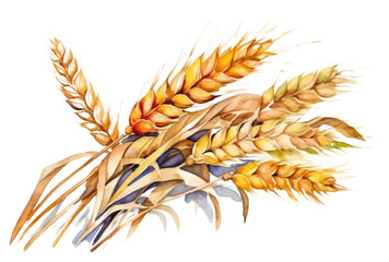 PNG Agriculture plant wheat food.