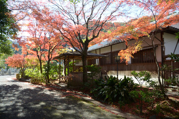 秋の嵯峨野　奥嵯峨の紅葉　京都市右京区