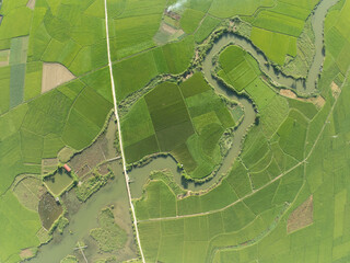Obraz premium Top view Rice fields in harvest season,High angle view over countryside at northern Vietnam