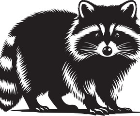 Black white  Raccoon silhouette vector art illustration