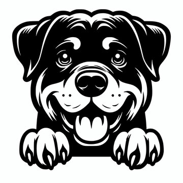 Cute peeking rottweiler dog silhouette vector illustration,  dog clip art design element