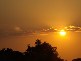 Light and shadow art: beautiful natural colors in the evening the beauty of the sky Animals and grass amidst beautiful colors in the evening.