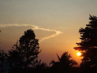 Light and Shadow Art: The setting sun creates beautiful shadows created by nature.