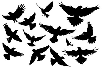 Flying bird vector art illustration