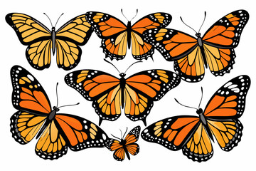 collection of monarch butterflies vector art illustration