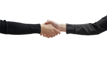 Handshake between two businesspeople sealing a deal on white background
