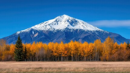 Majestic Snow Capped Mountain with Golden Autumn Forest