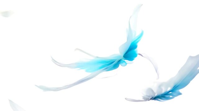 美しく舞う白と水色の羽根の水彩イラスト