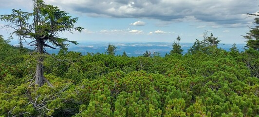 Szlaki górskie w Karkonoszach © tomo81