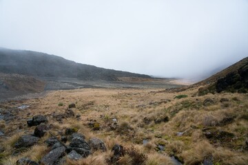 autumn Mountain Landscape in the Tongariro National park