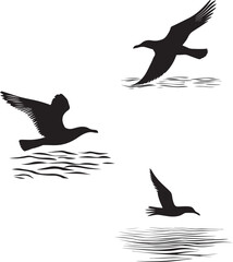 Silhouette of a seagull gliding over the water vector collection