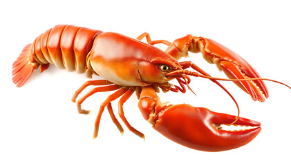 A beautifully detailed fresh lobster, isolated against a clean white background. Perfectly vibrant with rich colors and textures, showcasing the stunning details of the seafood for culinary and design