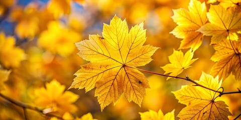 Obraz premium Golden Autumn Leaf Detail A Single Leaf's Veins and Texture Against a Background of Blurry Foliage