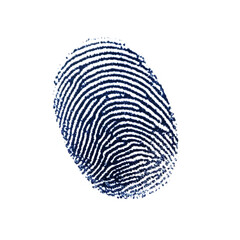 Black human ink fingerprint isolated on white and transparent background.