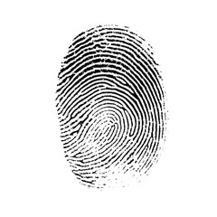 Black human ink fingerprint isolated on white and transparent background.