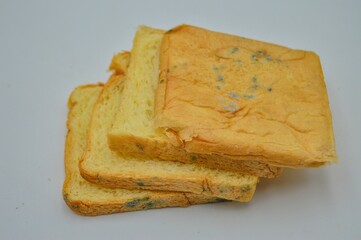 Slices of moldy bread