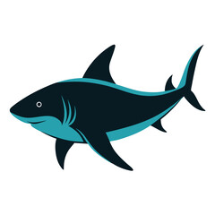 Sea bull blue shark actual colour vector illustration on the white background, black and white colour shark