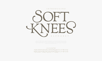 Softknees typography beauty fashion elegant minimalist serif italic fonts decorative wedding vintage retro logos. Minimal luxury font alphabet logo. Vector illustration