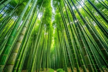 Lush Bamboo Forest Pattern Ideal for Backgrounds, Textiles, and Nature-Inspired Designs